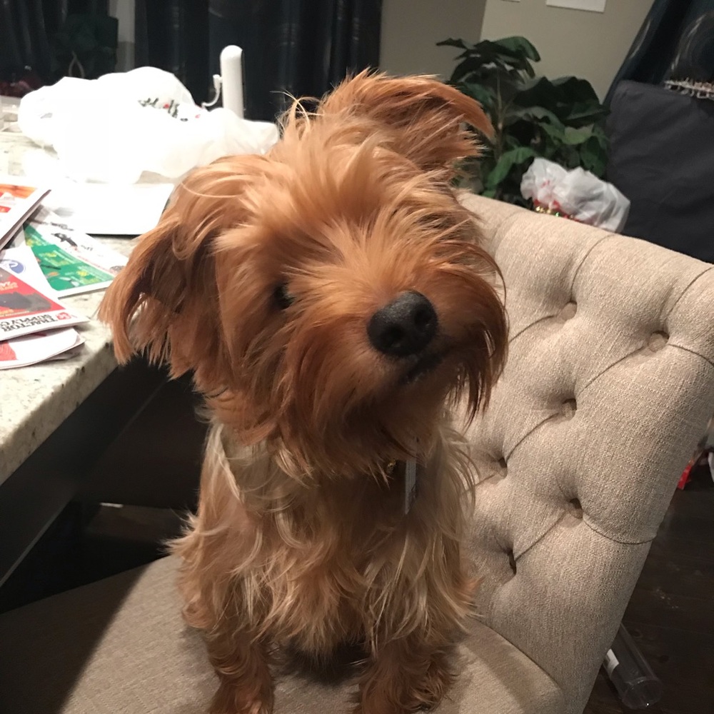 Meet your Posher, Sara